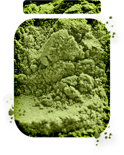 Hemp Protein