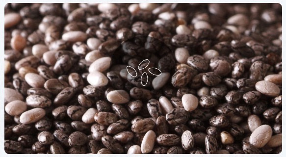 chia_